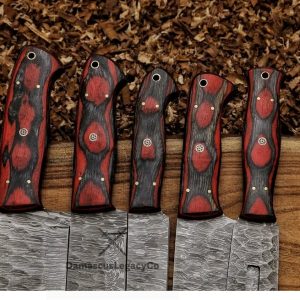 Handmade Damascus Chef Knife Set: 5 Piece Kitchen Knives with Leather Roll